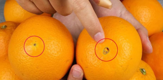 Cam ‘rốn to’ và ‘rốn nhỏ’ khác hẳn nhau, đi chợ nhớ nhìn kĩ kẻo mua nhầm cam vừa chua vừa ít nước