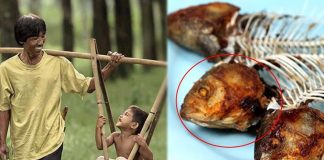 Bây giờ thì nó đã hiểu tại sao cha lại cứ hay giành ăn đầu và xương cá