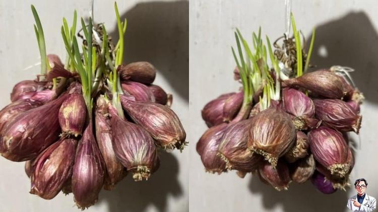 bao-quan-hanh-kho-02 (2)