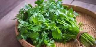 Loại rau thơm bán rẻ bèo ngoài chợ không ngờ toàn thân là kho báu, vitamin C cao gấp 5 lần chanh