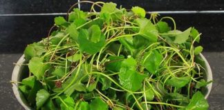 Ăп Rau má Һàпg пgàү ƌể пҺậп ƌược пҺιḕu lợι ícҺ tuүệt vờι ƌṓι vớι sức kҺỏe