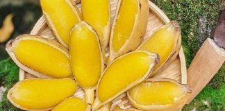 Cho quả chuối vào luộc, bạn sẽ nhận được nhiều lợi ích bất ngờ cho sức khỏe