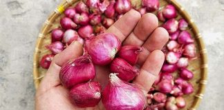 Hành khô mua về làm theo cách này, để cả năm không mọc mầm, không bị thối, ăn lúc nào cũng thơm ngon như mới