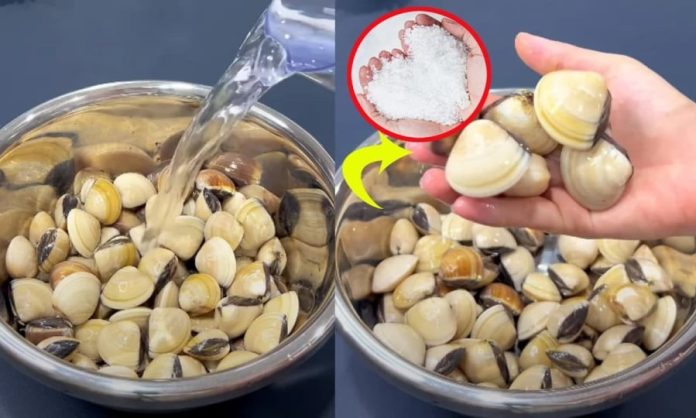 lam-sach-ngao-nhanh-1842