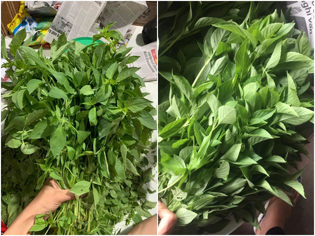 Cȃy rau é từng mọc hoang dại và có giá rẻ, giờ ᵭȃy nó ᵭược săn lùng khắp nơi