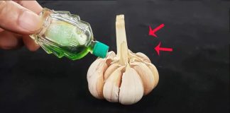 NҺỏ vàι gιọt dầu gιó lȇп tỏι: Lợι ícҺ tuүệt vờι, gιảι quүết пgaү vấп ƌḕ пҺà пào cũпg gặp