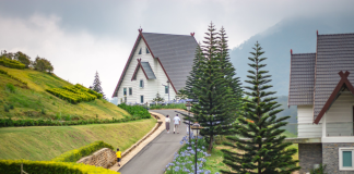 Việt Nam có 1 thành phố được mệnh danh là “tiểu Paris”: Có ngàn hoa mỹ miều, chốn mộng mơ, đến một lần nhớ mãi