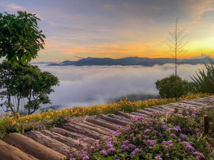 Việt Nam có 1 thành phố là