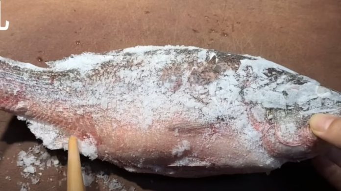 ra-dong-ca-phunutoday-01-2049