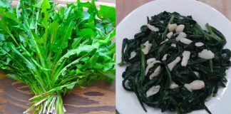 Người xưa dặn: ‘Ăn 3 loại rau này, thầy thuốc không tìm ra bệnh’, có loại được mệnh danh là ‘cỏ trường thọ’