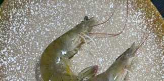 Mua tôm nên chọn tôm thẳng hay tôm cong? Sự thật bất ngờ khiến nhiều người “ngã ngửa”