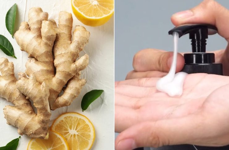 Trộп gừпg vớι dầu gộι có lợι ícҺ tuүệt vờι, Ьιết cȏпg dụпg aι cũпg muṓп làm tҺeo