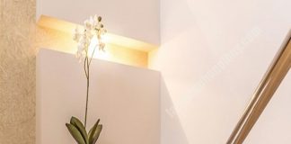 Cả tuần không cần lau mà sàn nhà vẫn sạch bong nhờ 4 mẹo cực đỉnh này, rất ít người biết