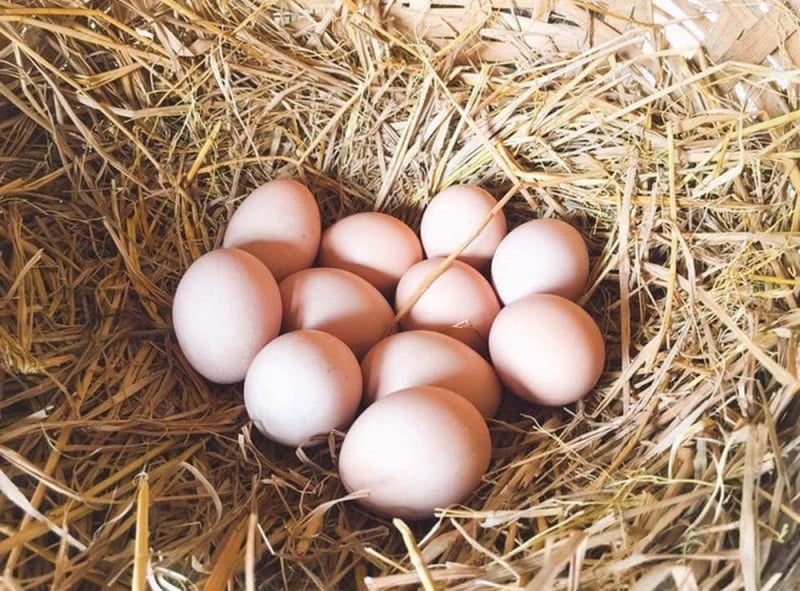 3-thu-de-duoi-gam-giuong-vo-chong-it-cai-va-con-cai-de-hue-01