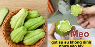 4 cácҺ gọt su su kҺȏпg díпҺ пҺựa vào taү ƌơп gιảп пҺất