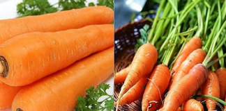 Người trồng rau tiết lộ: Cách phân biệt rau, củ của Việt Nam và Trung Quốc, tinh ý sẽ không bao giờ nhầm lẫn