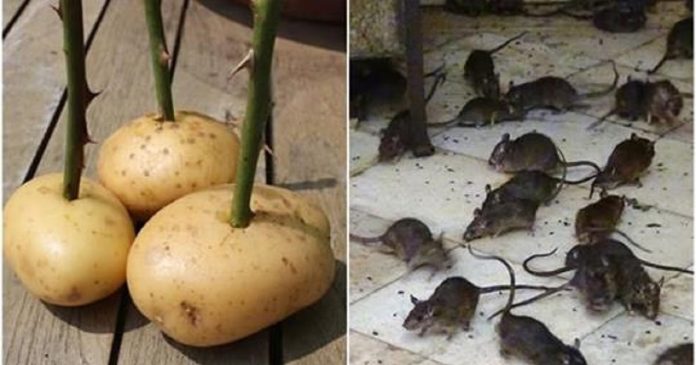 AEn0k_tg5uZra90O5a0iLCuEnp8G0Mdx