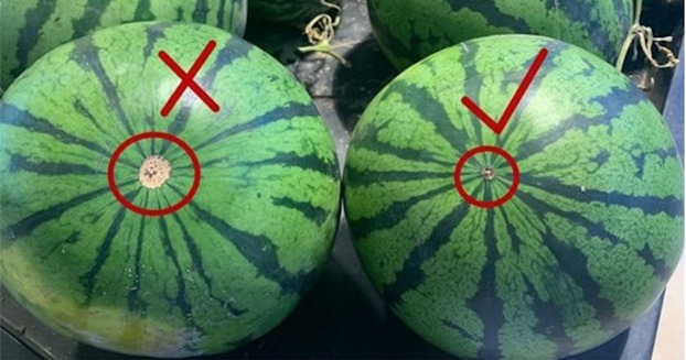 a65d95515a60b5120a9c69cac6ab849d