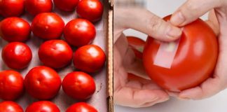 Vì sao không nên bảo quản cà chua trong tủ lạnh? Đây là cách làm đúng, để cà chua cả tháng vẫn tươi ngon