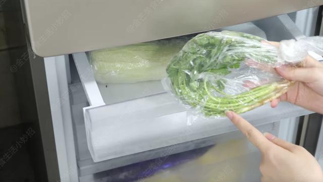 Hôm nay tôi chỉ cho bạn cách bảo quản rau mùi rất dễ dàng và nó có thể tươi ngon đến cả 1 năm- Ảnh 10.