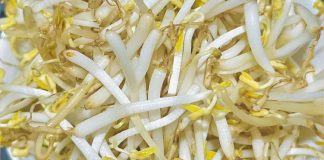 Giá đỗ là món rất bổ nhưng có 5 nhóm người không nên ăn