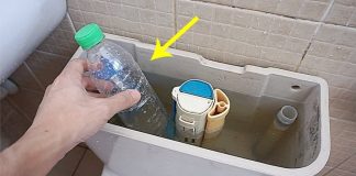 Lấy chai nhựa đặt vào bể nước của bồn cầu: Việc đơn giản mang lợi ích lớn, ai không biết thật là phí
