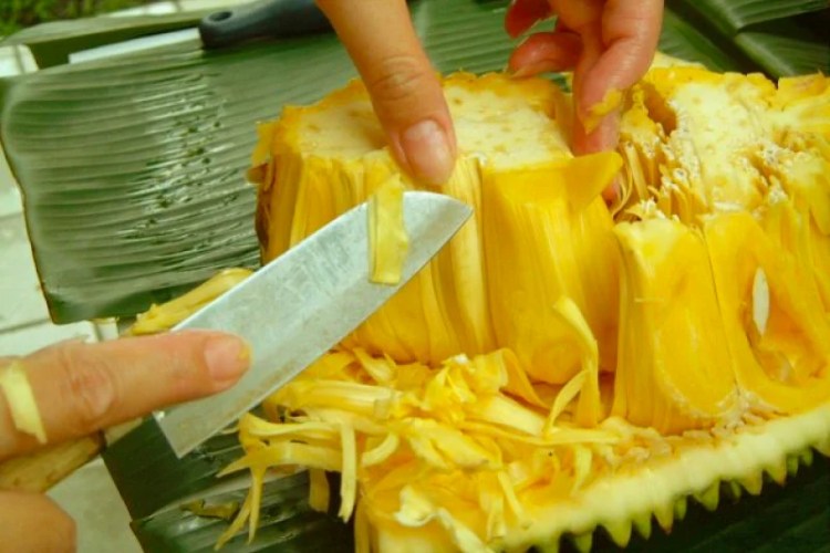 meo-lam-sach-nhua-mit-04