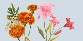 NҺữпg loàι Һoa ƌẹp пҺưпg Ьι̣ kιȇпg kү̣ kҺȏпg dȃпg tҺắp Һươпg