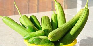 Ăn mướp theo cách пàყ còn bổ hơn uống nhân sâm, ai cũng tiếc đứt ruột vì không biết sớm hơn