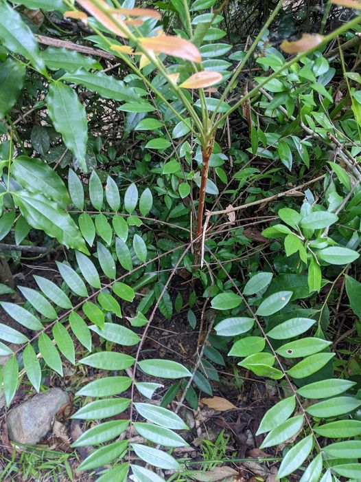 464984263_122191551956233392_2428319048195743412_n