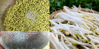 Tự làm giá đỗ cực sạch tại nhà cực dễ chỉ với 1 chiếc rổ nhựa và bước này, vụng mấy cũng làm được