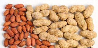 Vì sao hạt lạc được gọi là “nhȃn sȃm” ngũ cṓc? 4 kiểu người пàყ t:uyệt đ:ṓi kh:ông n:ên ăn lạc