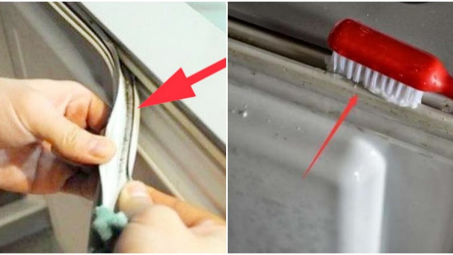 gioang-cao-su-tu-lanh-5