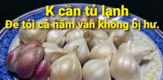 Tỏi mua về cứ để cùng thứ này, chẳng phải lo mốc hỏng hay mọc mầm