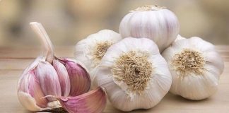 Khi mua tỏi nên chọn củ vỏ trắng hay vỏ tím? Đáp án không phải ai cũng biết