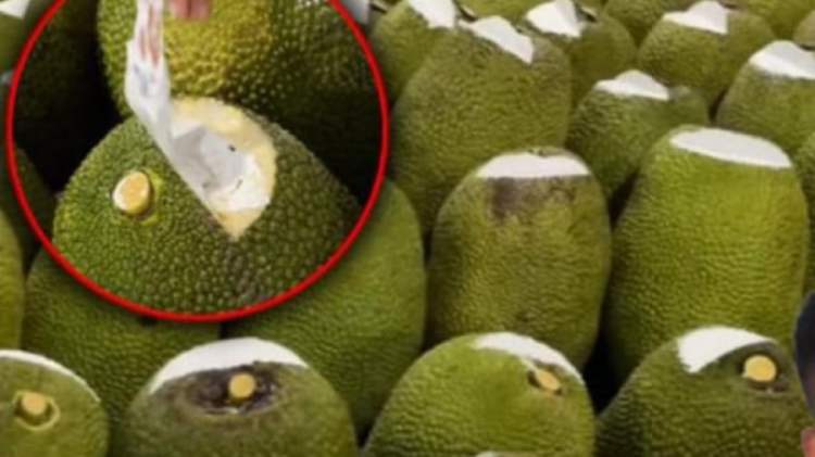 Bôi vôi trên chốt bị cắt nhằm mục đích sát khuẩn, hạn chế vi khuẩn thâm nhập. Vôi là thuốc sát trùng có giá thành rẻ nhất, an toàn nhất