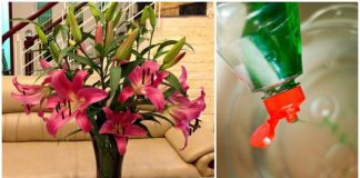 Nhỏ vài giọt nước này vào bình cắm hoa, đảm bảo để 10 ngày hoa vẫn tươi nguyên, mùi thơm tỏa cả phòng