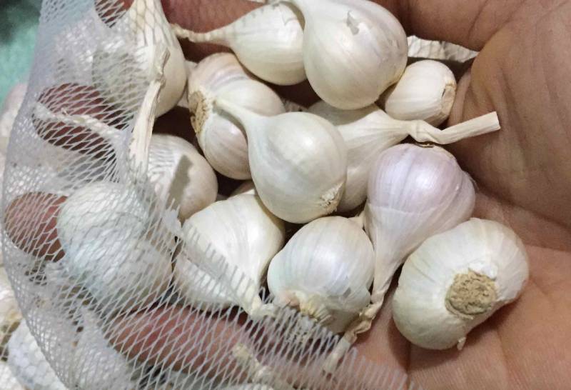 Để lâu không lo hỏng