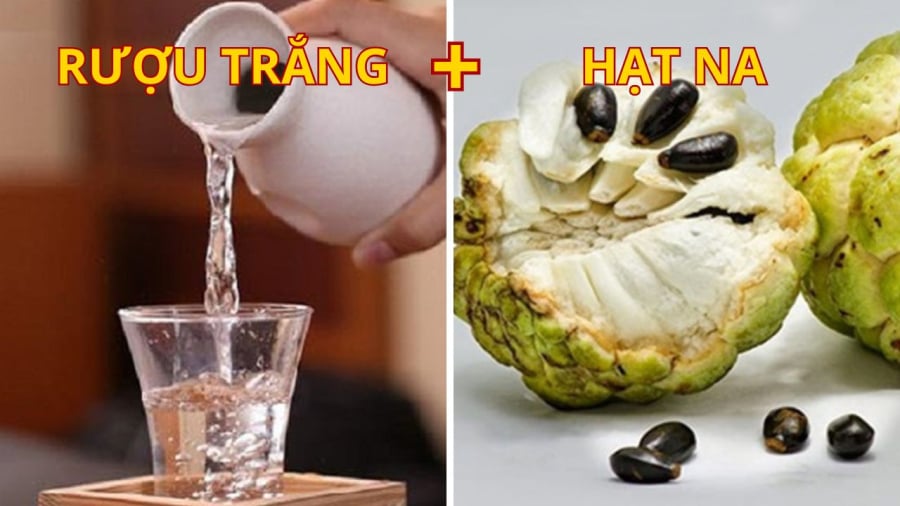 Diệt ruṑi bằng nguyên ʟiệu hạt na