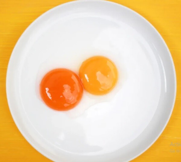 Nhiều người cho rằng, lòng đỏ có màu đỏ sẫm sẽ nhiều giá trị hơn là lòng đỏ có màu đỏ nhạt - Ảnh minh họa.