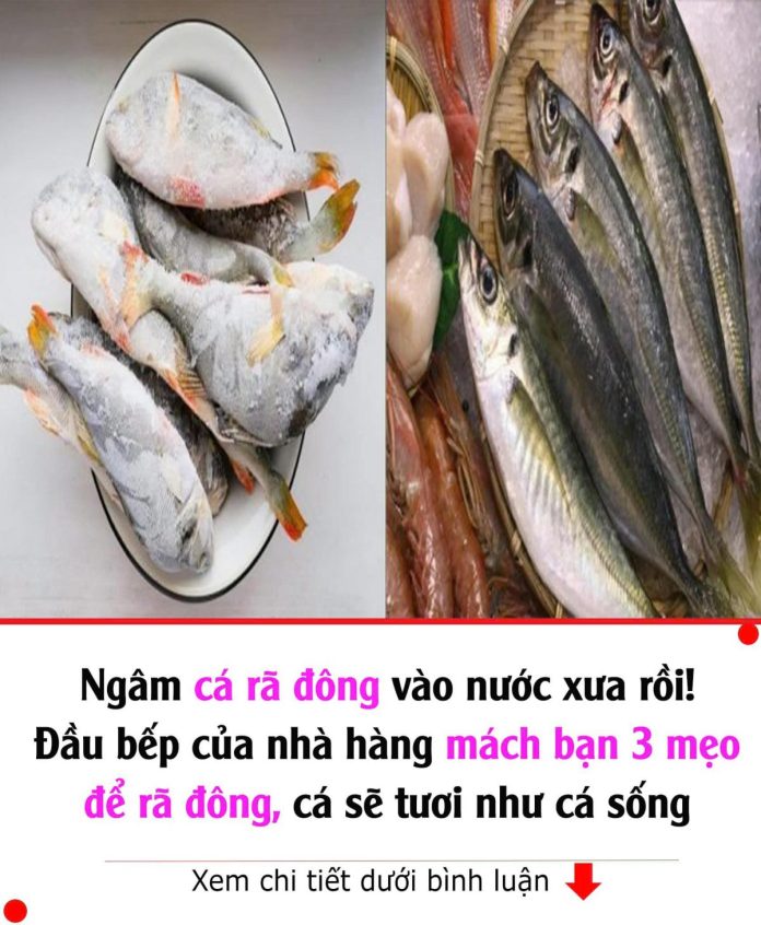 470215788_1052585320238631_2096662207299636909_n