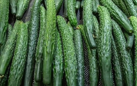 Dưa chuột, vốn là loại rau củ phổ biến vào mùa hè với tính mát và hương vị tươi ngon, lại xuất hiện khá dễ dàng ở chợ rau mùa đông.