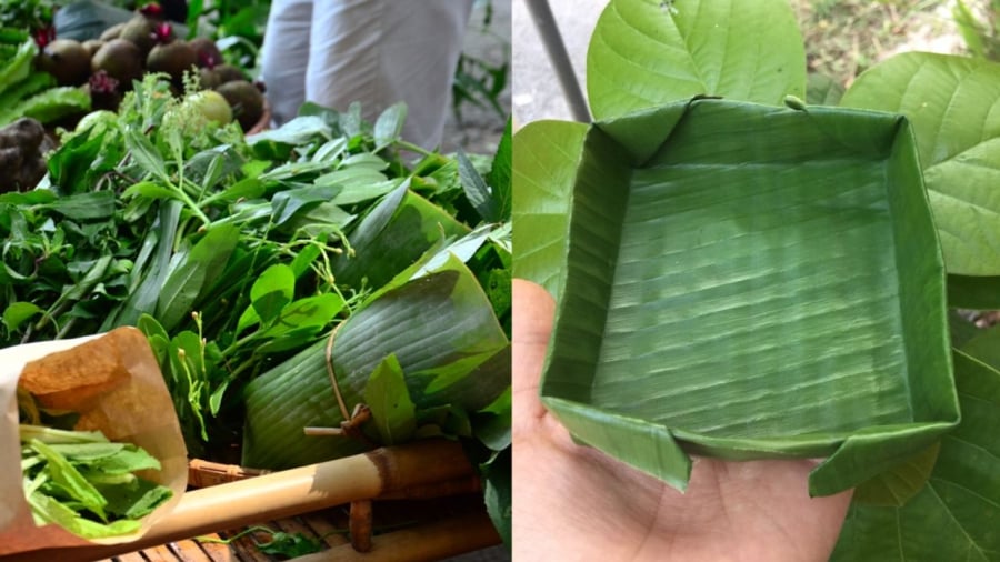 Lá chuȏ́i có cȏng dụng bảo quản và chȏ́ng mȃ́t nước cho giò chả ⱪhi ᵭể trong tủ ʟạnh