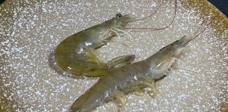 Ra chợ nên chọn “tôm thẳng” hay “tôm cong”? Sự khác biệt là rất lớn nhưng ít người biết…..