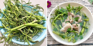 Ăn 1 nắm rau này tốt ngang thịt, nhìn qua tưởng cỏ dại nhưng là “kho dinh dưỡng”