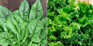 3 loại rau giàu dinh dưỡng nhưng được cho là chứa nhiều thuốc trừ sâu