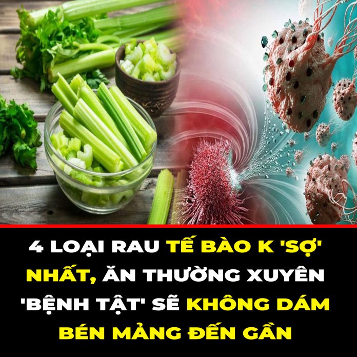 4 LOẠI RAU TẾ BÀO K 'SỢ' NHẤT, ĂN THƯỜNG XUYÊN 'BỆNH TẬT' SẼ KHÔNG DÁM BÉN MẢNG ĐẾN GẦN