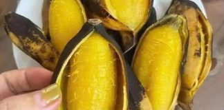 5 loại quả Việt không có thuốc trừ sâu, ngon và sạch nhất chợ, đừng tiếc tiền mua