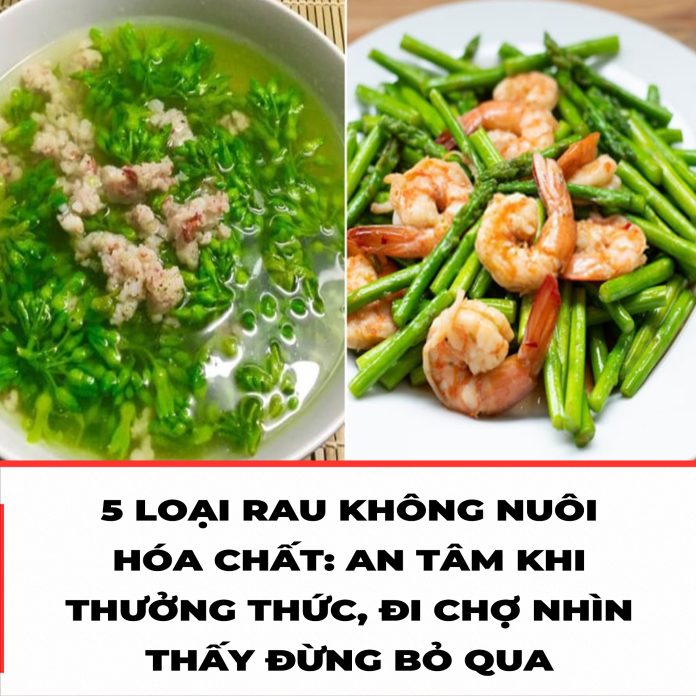 5 LOẠI RAU KHÔNG NUÔI HÓA CHẤT AN TÂM KHI THƯỞNG THỨC, ĐI CHỢ NHÌN THẤY ĐỪNG BỎ QUA