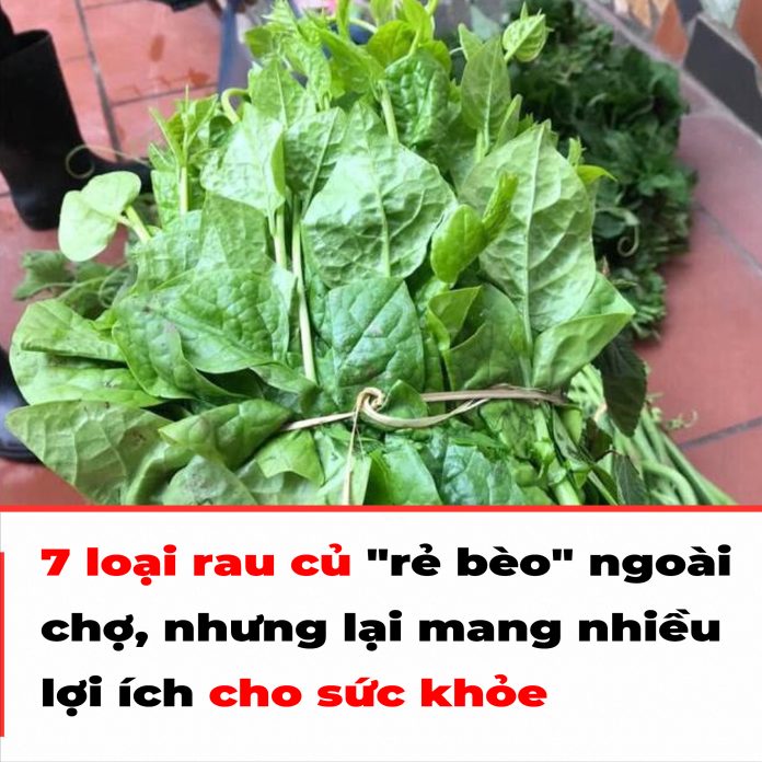 7 loại rau củ rẻ bèo ngoài chợ, nhưng lại mang nhiều tốt cho sức khỏe